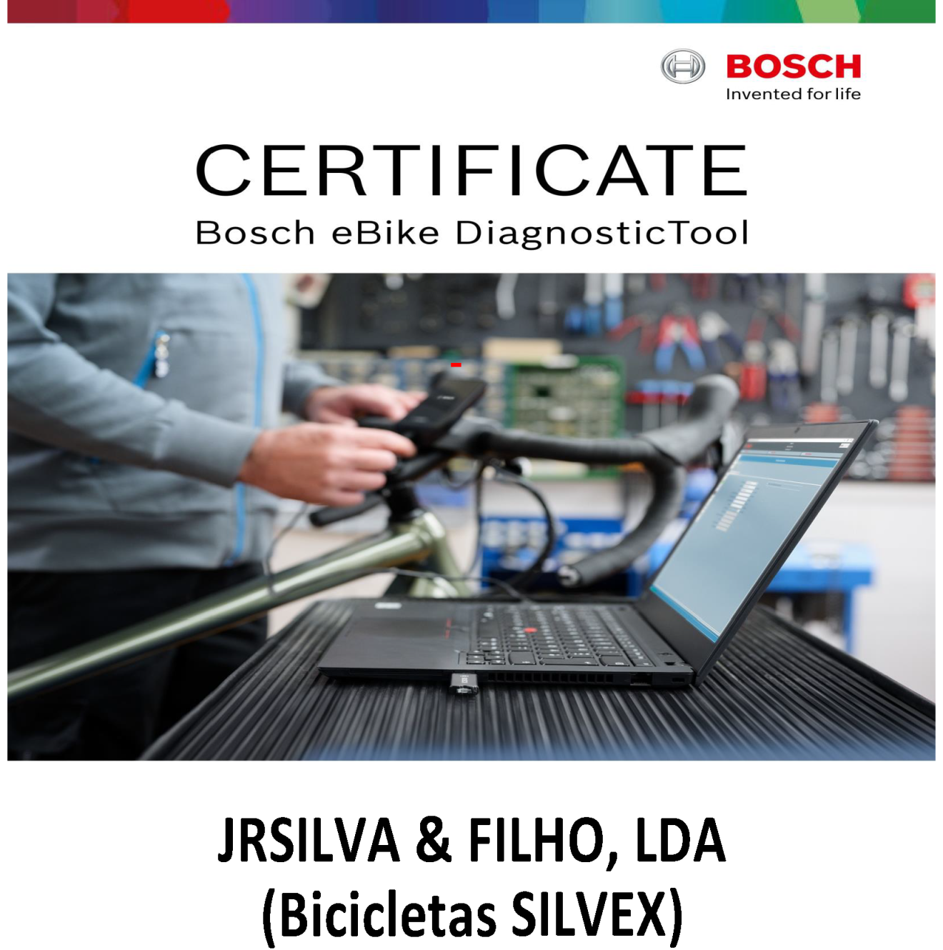 Diagnóstico eBike Bosch Bicicletas SILVEX